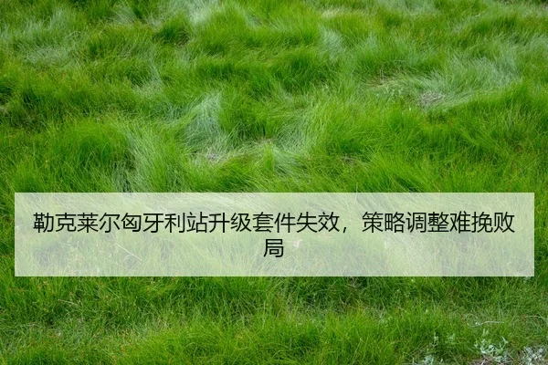 lei-ke-lai-er-xiong-ya-li-zhan-sheng-ji-tao-jian-shi-xiao-ce-lve-tiao-zheng-nan-wan-bai-ju-2-538.jpg