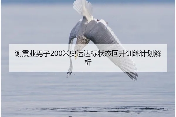 谢震业男子200米奥运达标状态回升训练计划解析