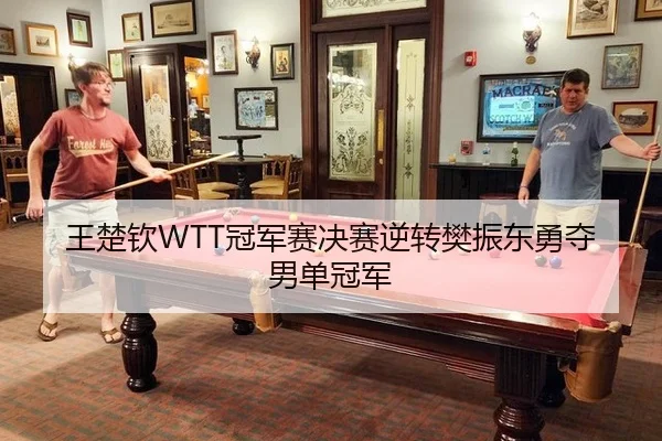 wang-chu-qin-guan-jun-sai-jue-sai-ni-zhuan-fan-zhen-dong-yong-duo-nan-dan-guan-jun-2-110.jpg
