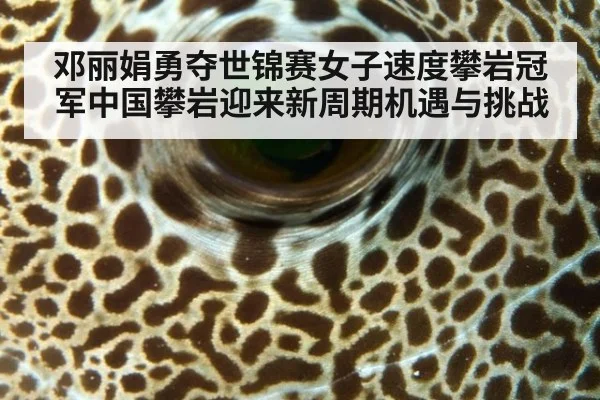 邓丽娟勇夺世锦赛女子速度攀岩冠军中国攀岩迎来新周期机遇与挑战